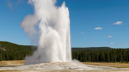 Majestic geyser erupting dramatically into the clear blue sky surrounded by lush green forests and golden grassland during bright daylight with soft shadows and misty water vapor - Powered by Adobe
