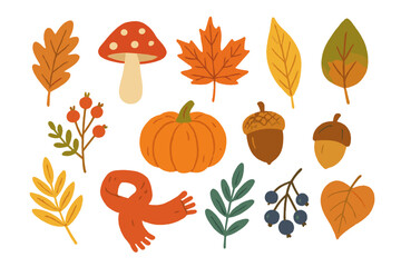 Colorful autumn harvest elements set with pumpkin, maple leaves, acorns, berries, and mushroom