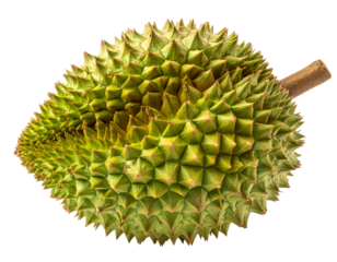 Fresh raw organic durian on white isolated on clear png background and transparent ba