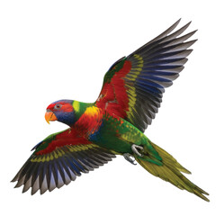 Fototapeta premium Print