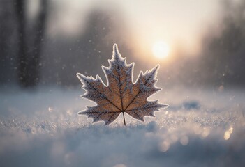 Beautiful winter background with a leaf covered with hoarfrost in nature in the snow. foggy sunrise