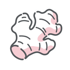 生姜（ショウガ）のイラスト、温活、ジンゲロール、薬味のアイコン素材。