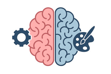 Conceptual representation of the human brain hemispheres symbolizing logic and creative thinking