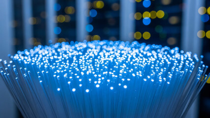Fiber Optics Cables Glowing Blue