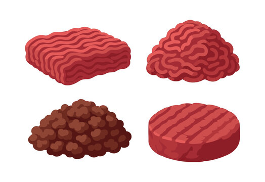Raw ground meat varieties, patties, and mince, flat vector illustration