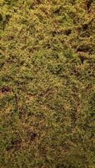 Faux landscaping, faux moss landscaping, simple faux moss texture, faux moss texture, simple faux landscaping, simple faux landscaping texture