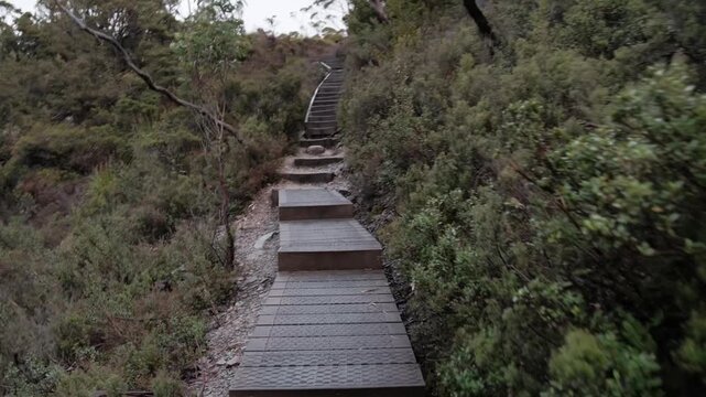 POV hiking up wooden boardwalk steps in Cradle Mountain National Park, Tasmania. Walking through dense native bushland on a scenic nature trail during an overcast day.