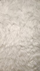 simple white fluffy fur, white fur, white fluffy fur, white fur texture, white fabric texture, simple fur background, simple fur