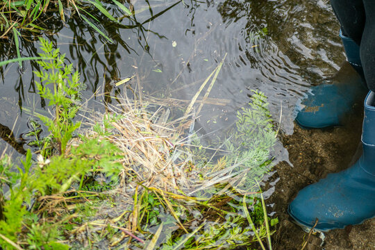 Blue rubber boots standing in a shallow puddle
