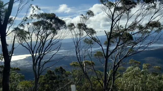 Scenic drive up Mount Wellington (kunanyi) on Pinnacle Road. Moving view of Hobart city and Derwent River revealed through eucalyptus trees on a sunny day.