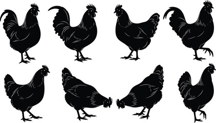 Chicken and Rooster Silhouettes Set: Black Vector Farm Animals Collection of Hen and Cock in Various Poses for Logo, Label, or Design.