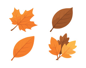 Fototapeta premium Autumn leaves collection, flat vector illustration, foliage, fall, nature