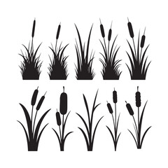 Black Silhouette Vector Set Grass Clumps, Reeds, and Cattail Plants for Design. 