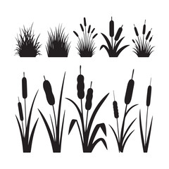 Black Silhouette Vector Set Grass Clumps, Reeds, and Cattail Plants for Design. 