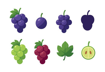 Fototapeta premium Grape varieties and leaf flat vector illustration, fruit art, nature design