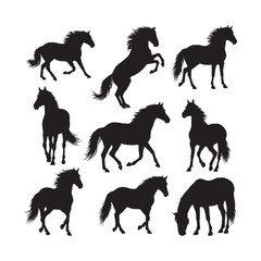Wild Horse Silhouettes