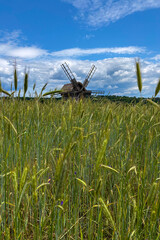 Green summer colors light up the countryside among old wooden houses and ancient churches in Ukraine, creating a warm nostalgic atmosphere.

