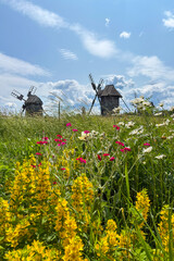 Green summer colors light up the countryside among old wooden houses and ancient churches in Ukraine, creating a warm nostalgic atmosphere.
