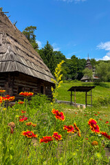 Green summer colors light up the countryside among old wooden houses and ancient churches in Ukraine, creating a warm nostalgic atmosphere.
