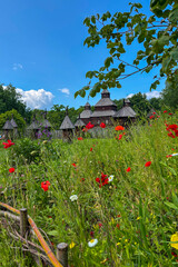 Green summer colors light up the countryside among old wooden houses and ancient churches in Ukraine, creating a warm nostalgic atmosphere.
