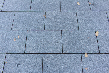 Fototapeta premium Texture of square paving tile. Pattern of blue tiles in the street. Concrete pavers with autumnal leaves close up background.