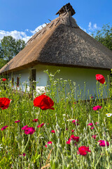 Green summer colors light up the countryside among old wooden houses and ancient churches in Ukraine, creating a warm nostalgic atmosphere.
