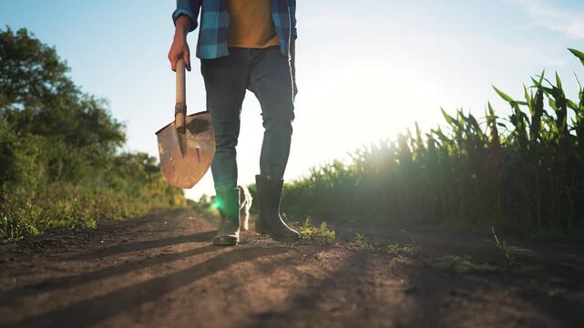 walk with shovel along dirt road farmer in boot walk past corn field with sun backlight casting long shadow crop and soil texture visible closeup shovel contact with ground and boot print mark