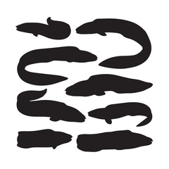 Eel Silhouettes