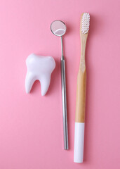 Vertical photo format. Dentistry concept. Model of a tooth and dental instruments on a colored background with space for text. 