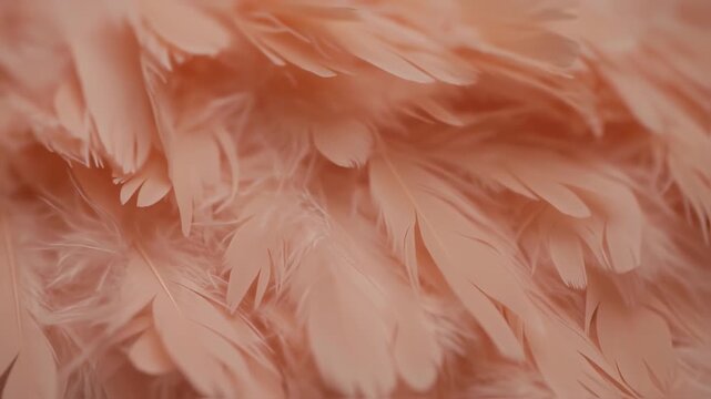 Close-up of layered, delicate feathers in a soft, muted salmon hue. Textured detail fills the frame