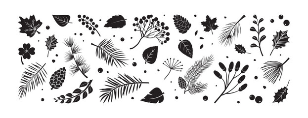 Fototapeta premium Winter or autumn plant branch, tree and leaves. Christmas fir, pine cone and holly berry, rowan. Coniferous floral set, black doodle evergreen foliage isolated on white bg. Nature vector illustration