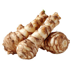 Three roots, light brown, mottled, and knobby