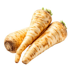 Three fresh parsnips, light brown, with green tops