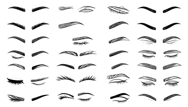 Diverse Eyebrow Styles - A Comprehensive Vector Collection.