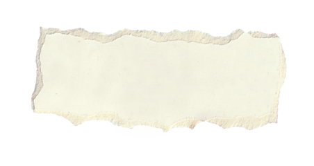 torn white paper create a delicate texture against a clean, minimalist background isolated on transparent background