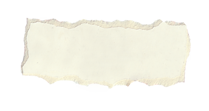 torn white paper create a delicate texture against a clean, minimalist background isolated on transparent background