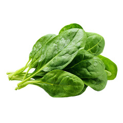 Fresh spinach leaves close-up