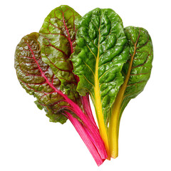 Close-up of vibrant red and green Swiss chard leaves (11)