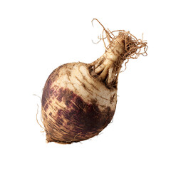 Round, earthy root vegetable with purple markings