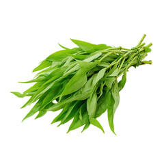 Bunch of vibrant green leafy vegetables (3)