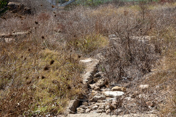 Ruins of the ancient city of Carthage