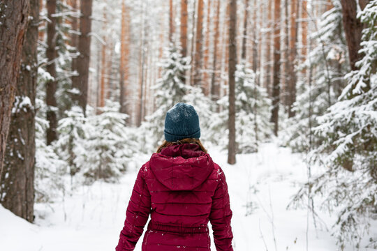 Rear view of young woman wears a red jacket and blue beanie, walking through a snowy forest with tall pine trees