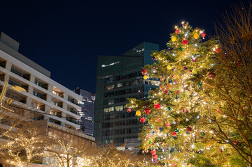 都市公園の巨大クリスマスツリーと夜のイルミネーション