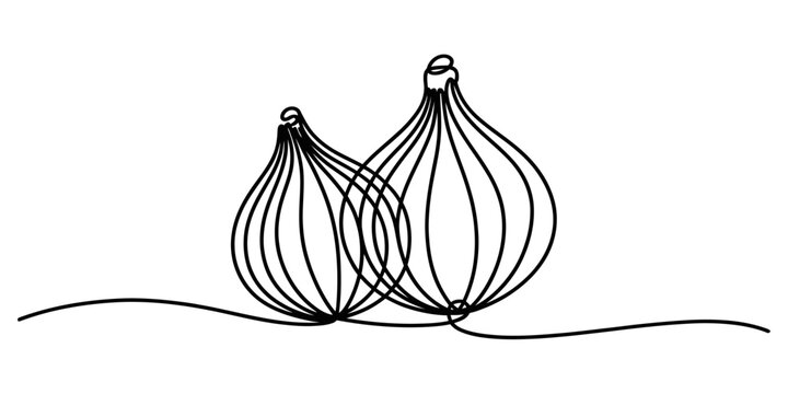 Continuous line art drawing of two fresh organic onions, perfect for minimalist cooking blogs, healthy food packaging design, or kitchen decor illustrations Vector, illustration