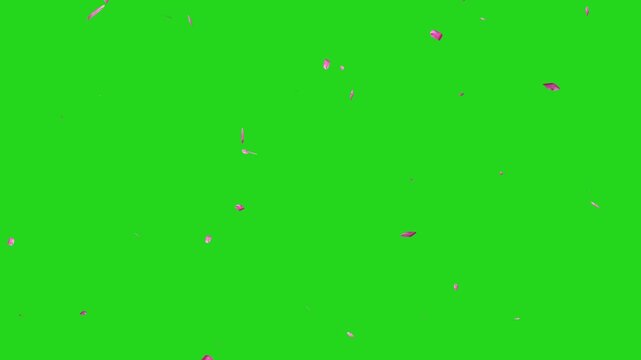 Cherry petals falling overlay with sakura petals falling 4K, pink petals animation green background, autumn leaves flutter down fall season and orange leaves falling