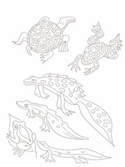 Amphibians reptiles frog newts and turtle sea river fauna nature hand drawn set sketch doodle cute cartoon