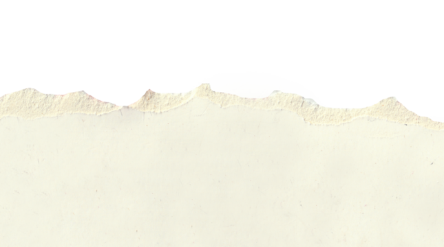 torn white paper create a delicate texture against a clean, minimalist background isolated on transparent background