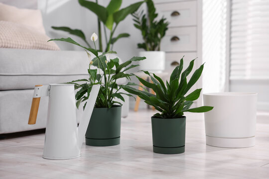 Different potted houseplants and watering can on floor indoors