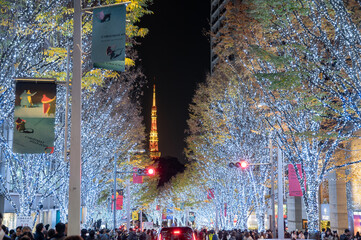 白色ライトに彩られた都心の並木道と東京タワー