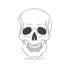 Obraz premium Simple Line Art Human Skull with Dark Eye Sockets and Detailed Teeth